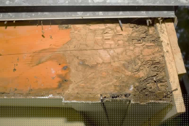 Erosion Damage Repair