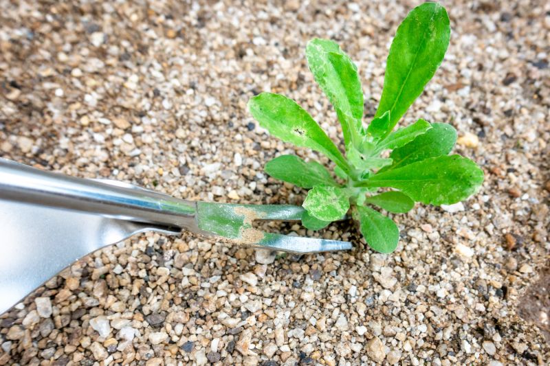 Ground Cover Removal