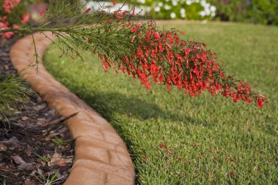 Lawn Curbing Service