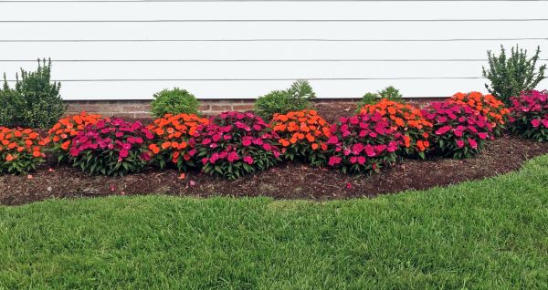Flower Bed Weeding Service in Bloomfield Hills