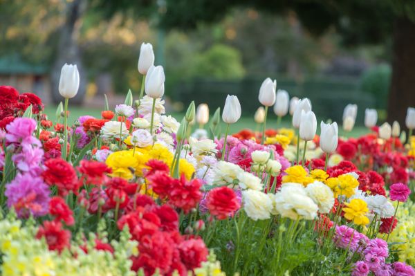 Gardening Service in Bloomfield Hills