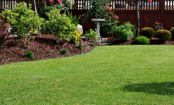 Yard Landscaping Service
