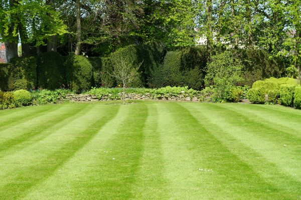 Lawn Renovation in Bloomfield Hills