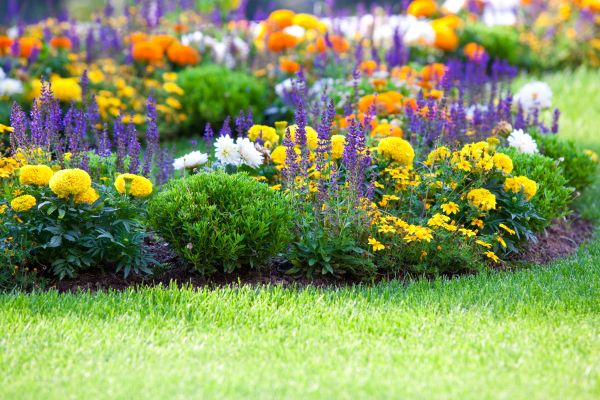 Garden Installation in Bloomfield Hills