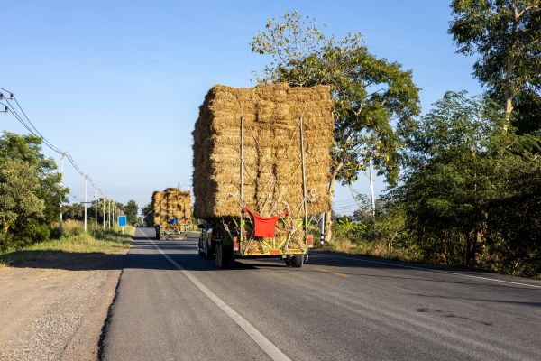 Pine Straw Delivery in Bloomfield Hills