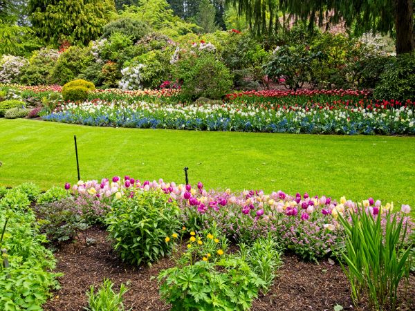 Residential Landscape Design in Bloomfield Hills