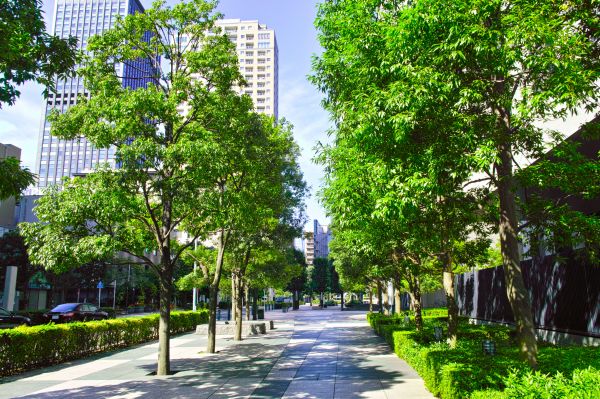 Corporate Campus Landscaping