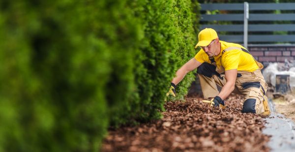 Cypress Mulch Installation in Bloomfield Hills