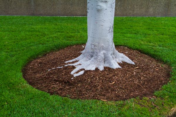Brown Mulch Installation in Bloomfield Hills