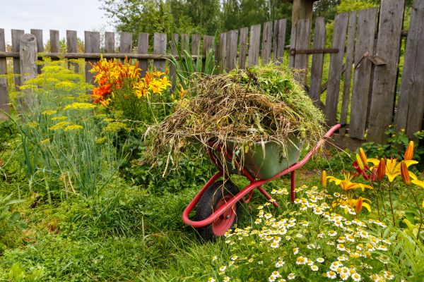 Garden Cleanup Service in Bloomfield Hills