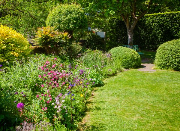 Yard Landscaping Service in Bloomfield Hills