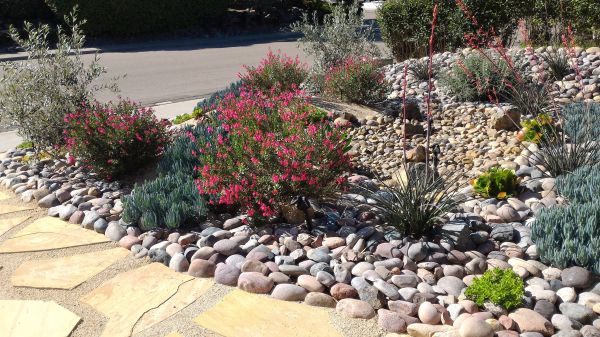 Xeriscape Landscaping in Bloomfield Hills