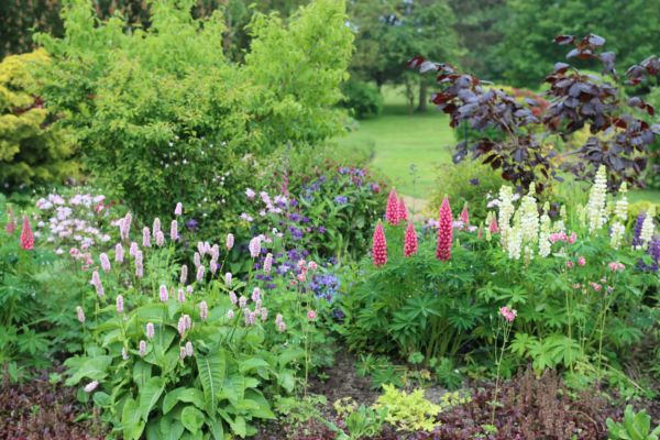 Flower Bed Planting in Bloomfield Hills