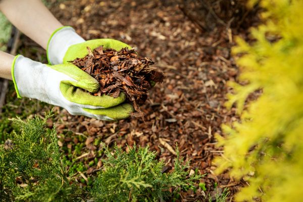 Garden Mulch Delivery in Bloomfield Hills
