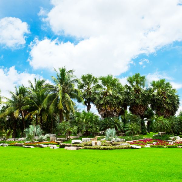 Tropical Landscaping in Bloomfield Hills