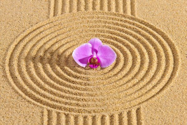 Sand Garden Landscaping in Bloomfield Hills