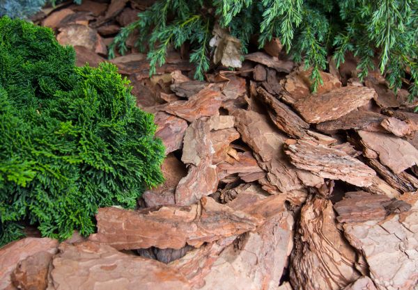 Pine Bark Installation in Bloomfield Hills