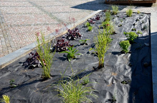 Landscape Fabric Installation in Bloomfield Hills
