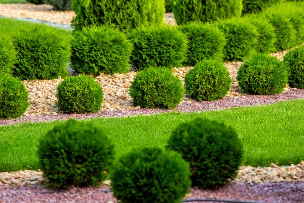 Bush Installation in Bloomfield Hills