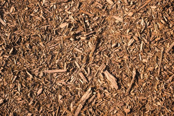 Wood Chips Removal in Bloomfield Hills