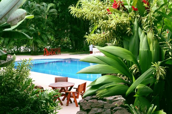 Pool Area Landscaping in Bloomfield Hills