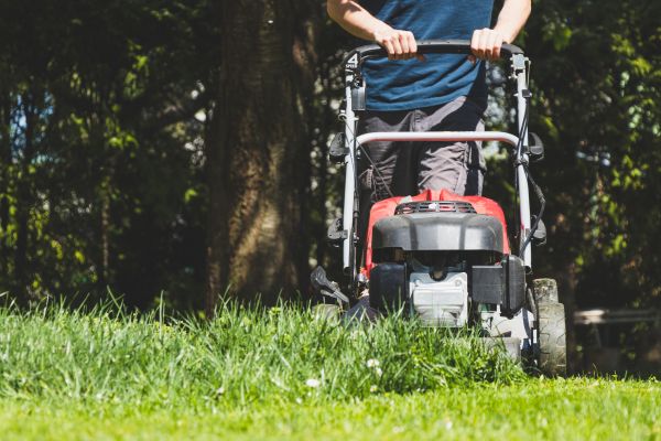 Garden Trimming Service in Bloomfield Hills