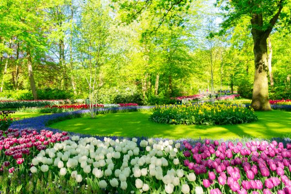 Flower Landscaping in Bloomfield Hills
