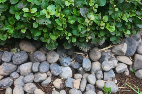 River Stone Installation in Bloomfield Hills