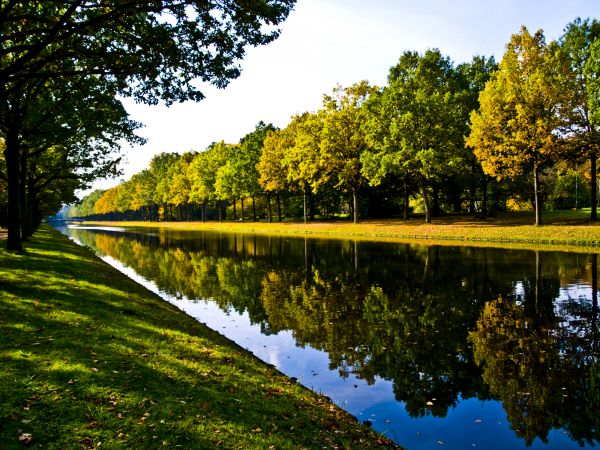 Bank Landscaping in Bloomfield Hills