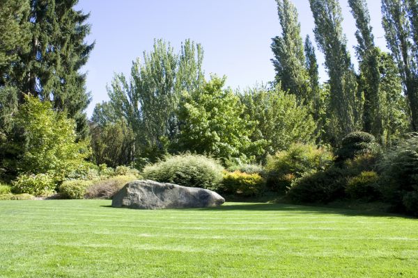 Yard Enlargement in Bloomfield Hills