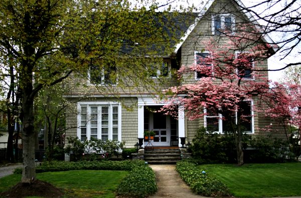Ornamental Tree Planting in Bloomfield Hills