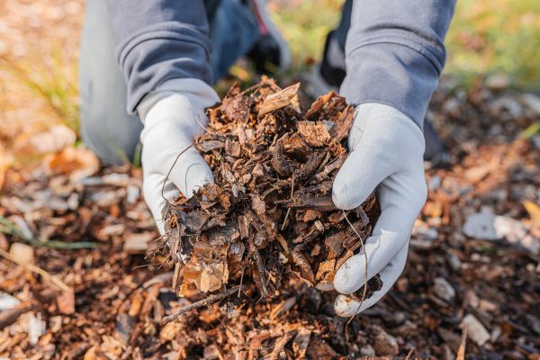 Shredded Mulch Installation in Bloomfield Hills