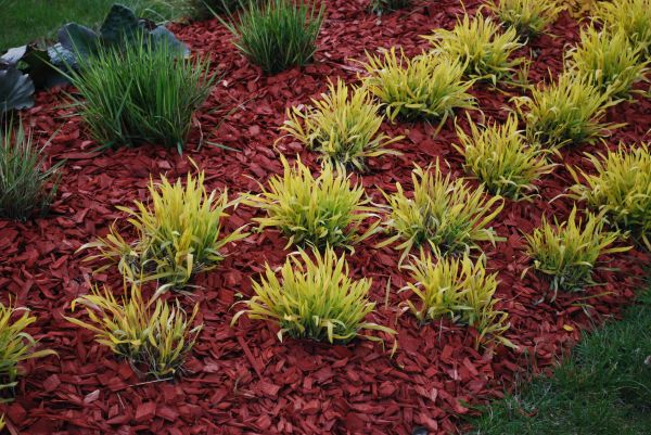 Red Mulch Installation in Bloomfield Hills