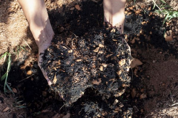 Organic Mulch Installation in Bloomfield Hills