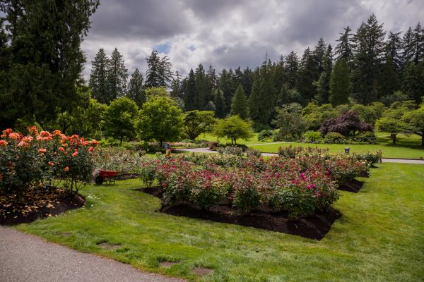 Flower Garden Landscaping in Bloomfield Hills