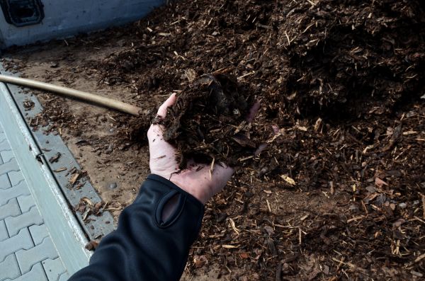 Condo Mulching in Bloomfield Hills