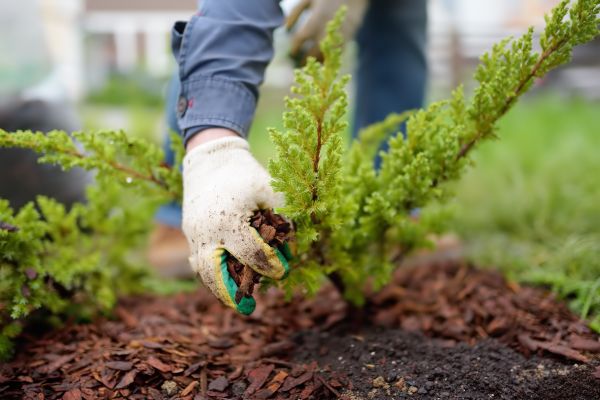 Church Mulching in Bloomfield Hills