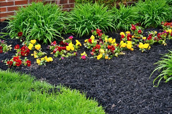 Apartment Mulching in Bloomfield Hills
